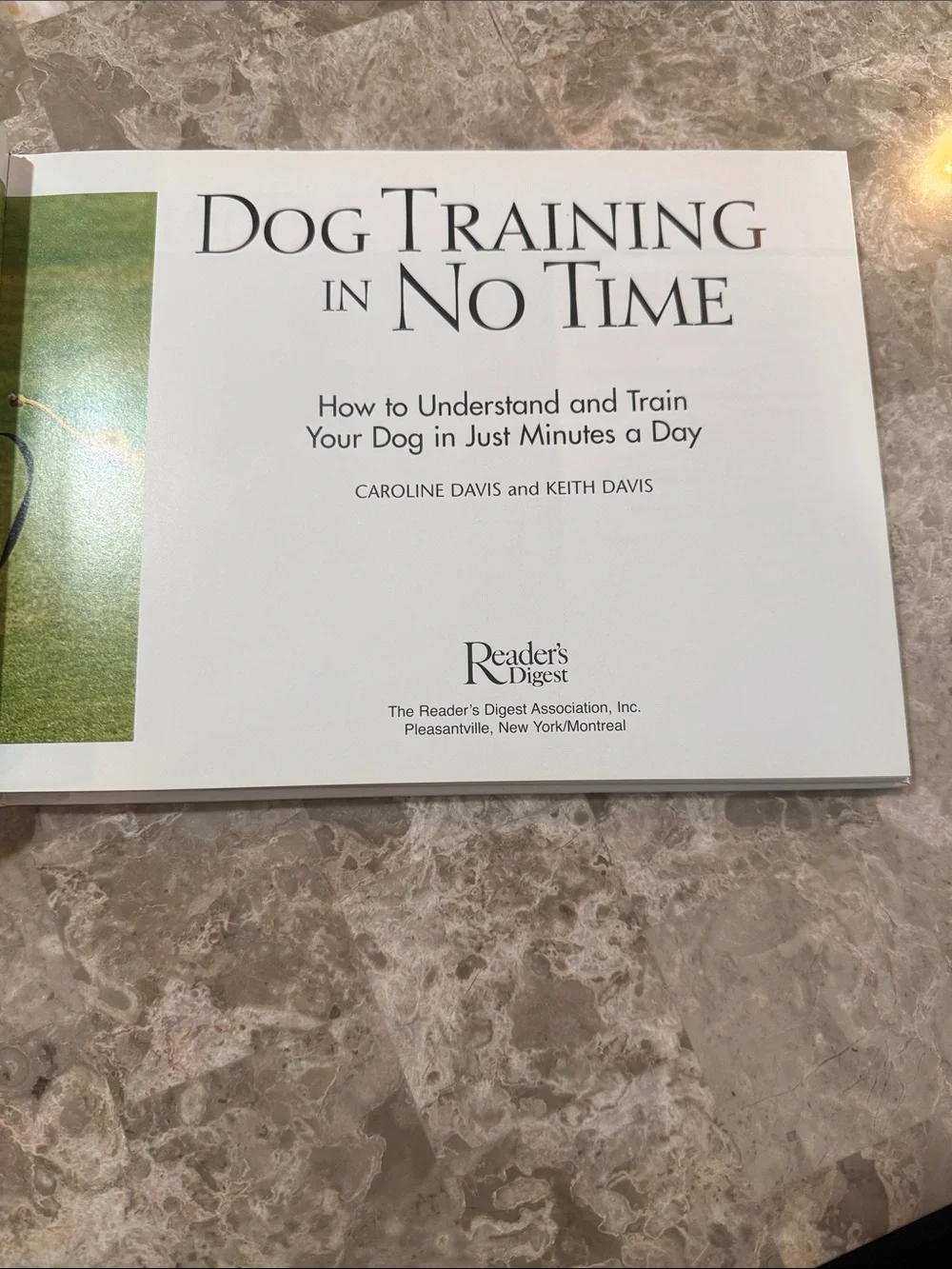 Dog Training in No Time - Golden Cover Hardcover